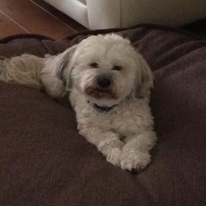 Meet your Posher, Edie